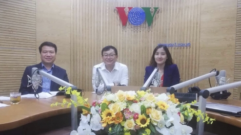 Luật "vênh" thực tiễn: Làm gì để khắc phục? (26/10/2019)