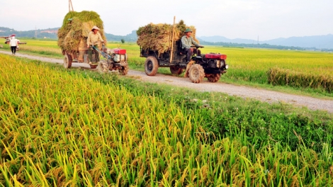 Nhu cầu về lương thực, thực phẩm ngày một gia tăng, vậy làm sao để ổn định và đáp ứng nhu cầu này của người dân? (3/10/2019)