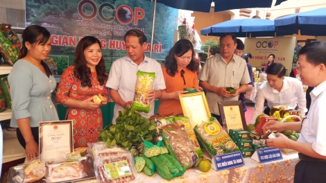 Phát triển mỗi xã một sản phẩm, tạo nguồn lực xây dựng nông thôn mới (8/10/2019)
