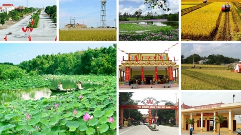 Để nông thôn có sự phát triển hài hòa, bền vững (19/10/2019)
