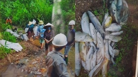 Sao nỡ lặng im trước sinh mạng con người? (16/10/2019)