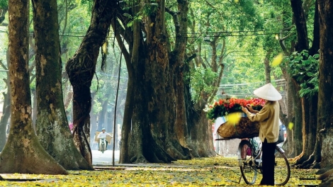Hà Nội và những cái nhất (5/10/2019)