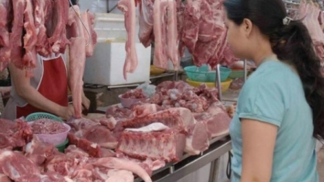 Bình tĩnh để bình ổn giá thịt lợn cuối năm (26/11/2019)