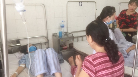 Bệnh sốt xuất huyết diễn biến phức tạp - Người dân không được chủ quan (23/11/2019)