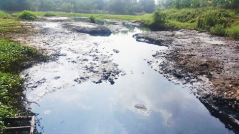 Xử lý ô nhiễm nguồn nước hệ thống Bắc Hưng Hải trước khi lấy nước phục vụ vụ Đông Xuân (16/11/2019)