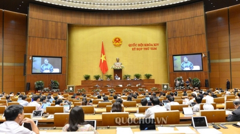 Trả lời chất vấn không chỉ "xin lỗi" và "hứa hẹn" (9/11/2019)