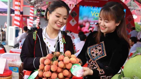 Chương trình "Mỗi xã phường một sản phẩm (OCOP)" - Cần quan tâm yếu tố thị trường (28/11/2019)