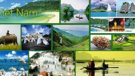 Chính sách thị thực mở cửa, đưa du lịch Việt Nam cất cánh (4/11/2019)