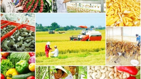 Tạo động lực mới cho hợp tác xã nông nghiệp phát triển (30/11/2019)