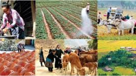 Hiệu quả áp dụng chuẩn nghèo đa chiều theo phương pháp tiếp cận mới (25/11/2019)