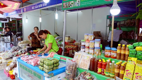 Giải pháp nâng cao chất lượng nguồn nhân lực phục vụ công tác thống kê, xây dựng bộ chỉ tiêu đánh giá mức độ phát triển doanh nghiệp. (28/11/2019)