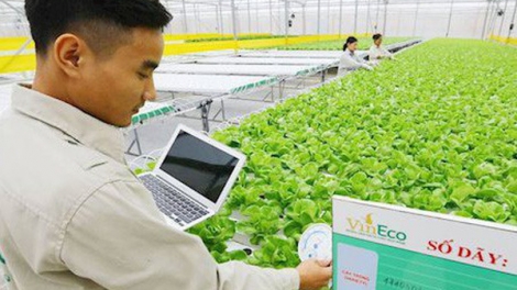 Tìm thị trường cho công nghệ nano trong nông nghiệp (11/11/2019)
