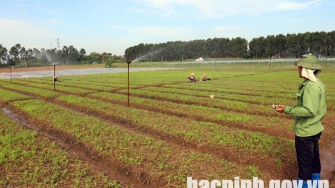 Bắc Ninh chủ động giải pháp cấp nước vụ Đông Xuân 2019 - 2020 (12/12/2019)