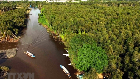 "Khoảng trống" du lịch ở khu vực Đồng bằng Sông Cửu Long (2/12/2019)