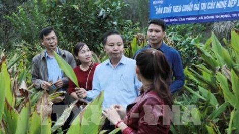 Thúc đẩy kết nối cung cầu cho nông sản miền núi phía Bắc (4/12/2019)