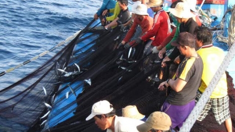 Ngư dân đoàn kết cùng nhau làm ăn trên biển (23/12/2019)