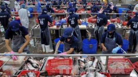 Doanh nghiệp Việt Nam cần nâng cao nhận thức về biện pháp phòng vệ thương mại của các đối tác (24/12/2019)