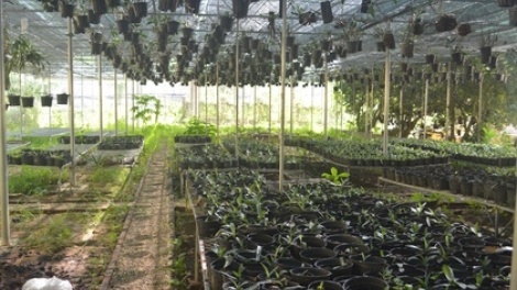 Bảo tồn và sử dụng bền vững nguồn gen ở Việt Nam (2/12/2019)