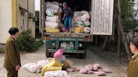 Quản lý thị trường Hà Tĩnh: Bắt giữ xe container chở gần 12 tấn nội tạng động vật đang hư hỏng (12/12/2019)