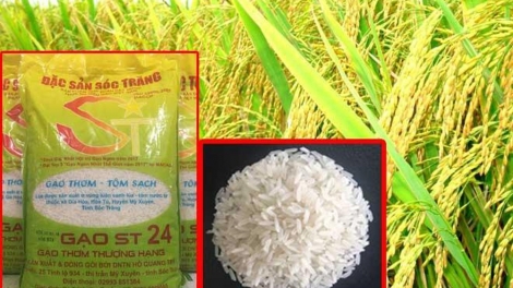 Việt Nam có gạo ngon nhất thế giới và việc phát triển thương hiệu gạo Việt (8/12/2019)