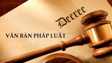 Nâng cao chất lượng công tác xây dựng Luật (4/12/2019)