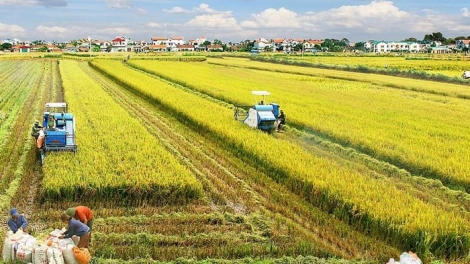 Nông dân giàu thì đất nước thịnh (13/12/2019)