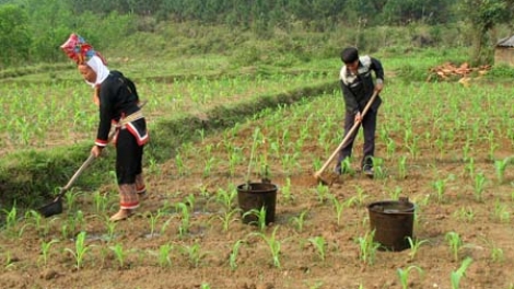 Giải quyết đất ở, đất sản xuất cho vùng đồng bào dân tộc thiểu số, những vấn đề đặt ra (7/12/2019)
