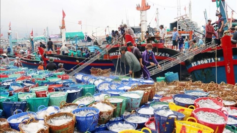 Nhìn lại một năm đầy sóng gió với ngành thủy sản (27/12/2019)