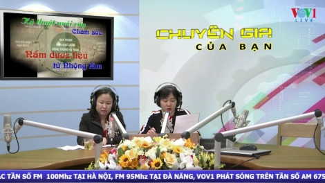Kỹ thuật nuôi cấy và chăm sóc nấm dược liệu từ nhộng tằm (24/12/2019)