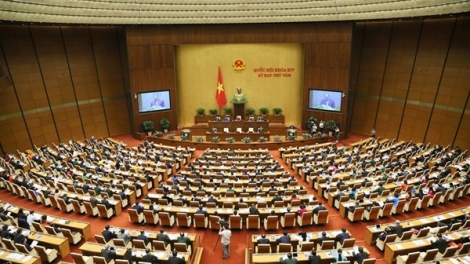 Những dấu ấn đặc biệt của Quốc hội trong năm 2019 (24/12/2019)