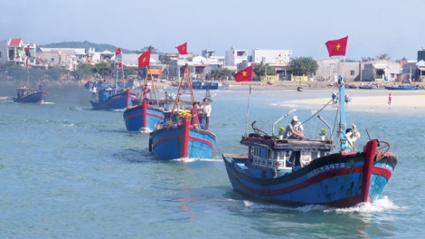 Các quy định mới về quản lý khai thác theo Luật Thủy sản 2017 (22/6/2019)