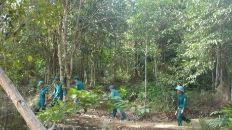 Tây Ninh chủ động phòng chống cháy rừng mùa khô 2018-2019 (20/2/2019)
