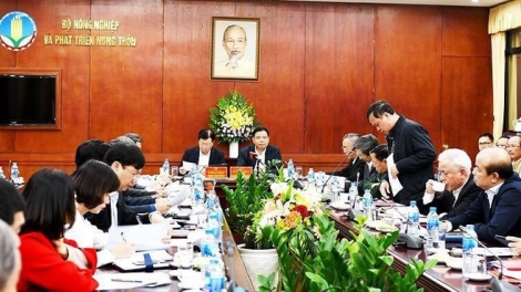 Phó Thủ tướng Trịnh Đình Dũng chủ trì Hội nghị "Thống nhất các biện pháp cấp bách phòng chống dịch tả lợn Châu Phi" (Thời sự trưa 28/2/2019)