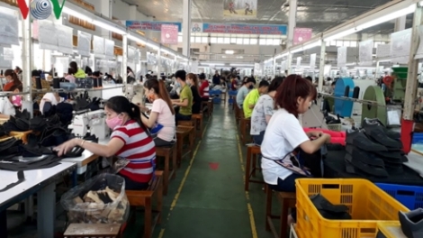 Hầu hết lao động trở lại làm việc sau Tết (14/2/2019)