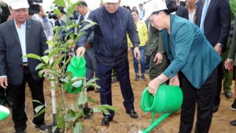 Chủ tịch Quốc hội Nguyễn Thị Kim Ngân dự lễ ra quân hưởng ứng Tết trồng cây tại tỉnh Hòa Bình (Thời sự trưa 13/2/2019)