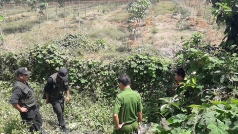 Tìm ra nghi phạm vụ cướp trạm thu phí Thành phố Hồ Chí Minh - Long Thành - Dầu Giây (Thời sự đêm 7/2/2019)