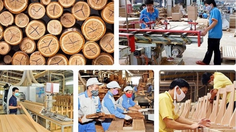 Chế biến, xuất khẩu gỗ - giải pháp bứt phá năm 2019 (22/2/2019)