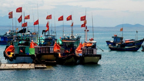 Không khí vươn khơi đầu năm của ngư dân tại nhiều tỉnh thành trên cả nước (13/2/2019)