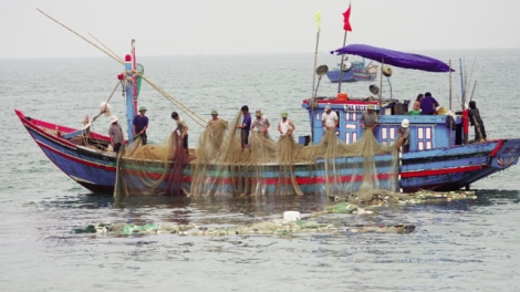 Bình Định phát huy vai trò cộng đồng trong bảo vệ nguồn lợi thủy sản (11/2/2019)