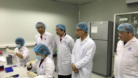 8 phòng xét nghiệm miễn phí vi rút gây dịch tả lợn Châu Phi (Thời sự trưa 22/2/2019)