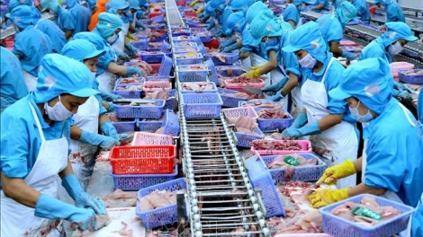Thủy sản Việt Nam đặt mục tiêu đưa kim ngạch xuất khẩu lên 10 tỷ USD trong năm nay (17/2/2019)