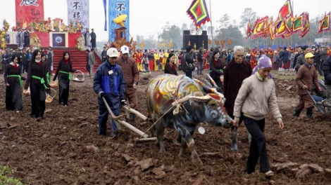 Lễ Tịch điền: Sá cày trọng nông cho năm mới (11/2/2019)
