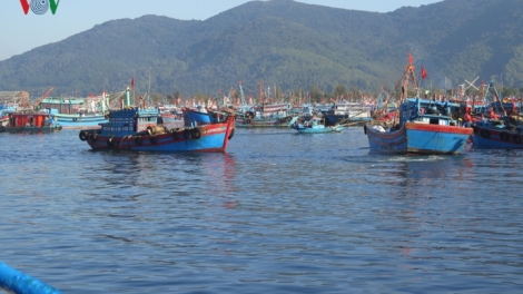 Ngư dân rộn ràng ra khơi đầu năm (18/2/2019)