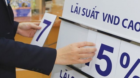 Thông tin về lãi suất tiền gửi ở các ngân hàng thương mại (20/2/2019)