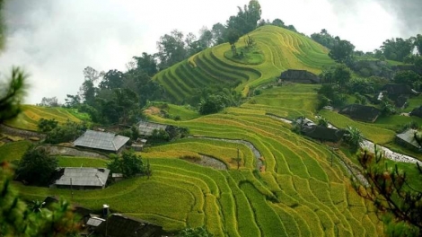 Đến với Bản Phùng – nơi có những thửa ruộng bậc thang cao nhất Việt Nam (16/3/2019)