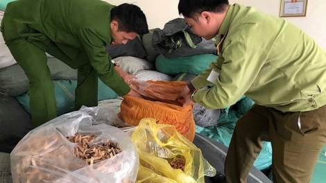 Quản lý thị trường Hà Nội: Thu giữ hơn 7 tấn thảo dược không rõ nguồn gốc (29/3/2019)