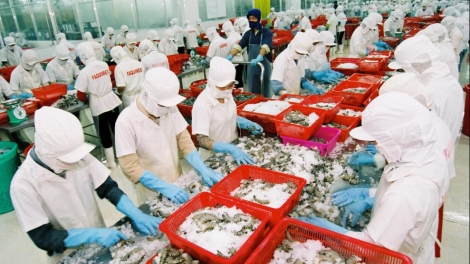 Xuất khẩu thủy sản của Việt Nam tiếp tục khởi sắc (14/3/2019)