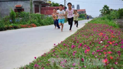 Xây dựng Nông thôn mới thành công tại Nam Định nhờ sự đồng thuận của người dân (17/3/2019)