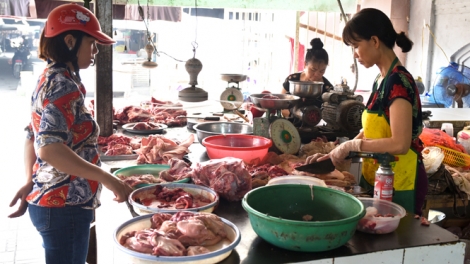 Yên tâm sử dụng thịt lợn an toàn trong tâm bão dịch tả lợn Châu Phi (28/3/2019)