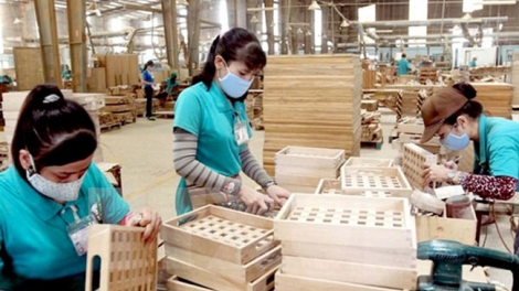 Phải làm sao để xuất khẩu gỗ ổn định và bền vững? (7/3/2019)